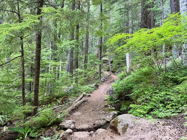 Marion Mountain hike